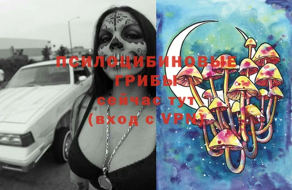 прущие грибы Баксан