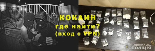 прущие грибы Баксан