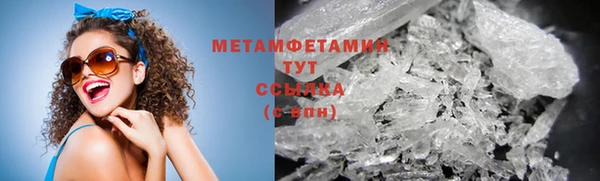 прущие грибы Баксан
