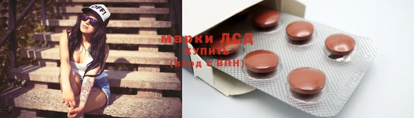 прущие грибы Баксан