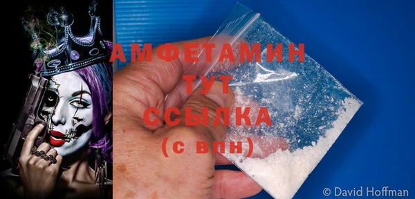 прущие грибы Баксан