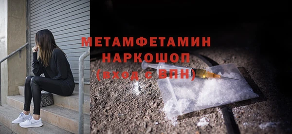 прущие грибы Баксан