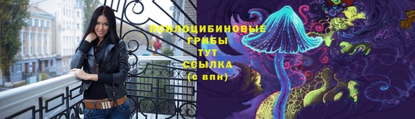 прущие грибы Баксан