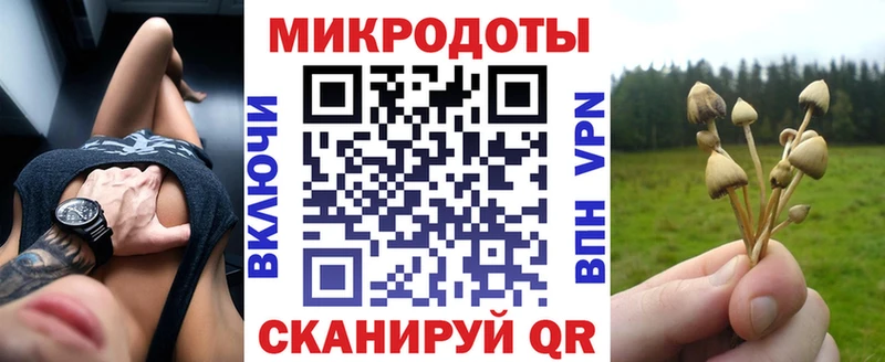 Галлюциногенные грибы MAGIC MUSHROOMS  продажа наркотиков  площадка телеграм  Красный Холм 